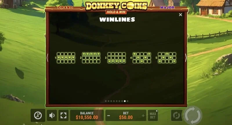 Donkey Coins Hold & Win - grande vitória no modo especial
